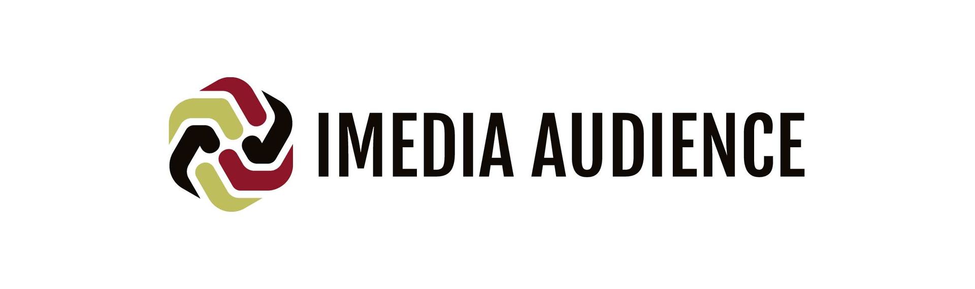 imediaaudience